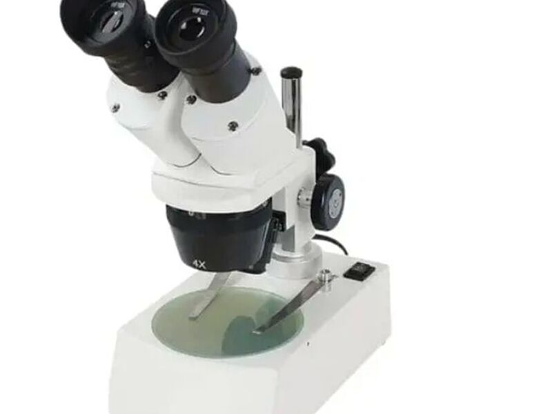 Microscopio Estereoscópico Concepción