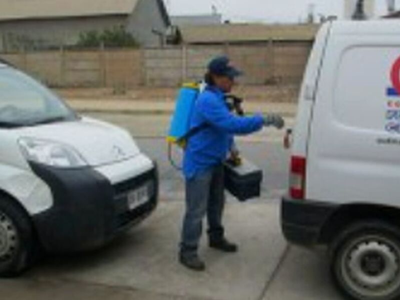 Control Plagas chile