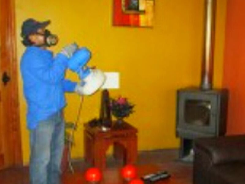 Control Insectos chile
