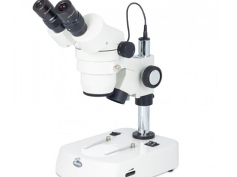 Microscopio Estereocópico Binocular Santiago