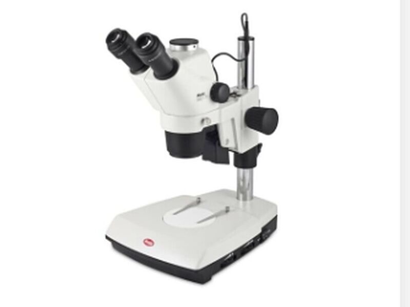 Microscopio Estereocópico Trinocular Santiago