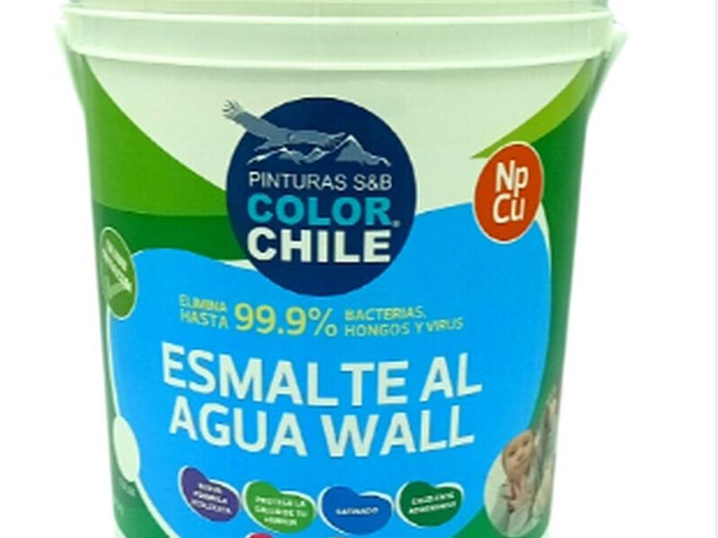 Esmalte Al Agua Blanco Chile 