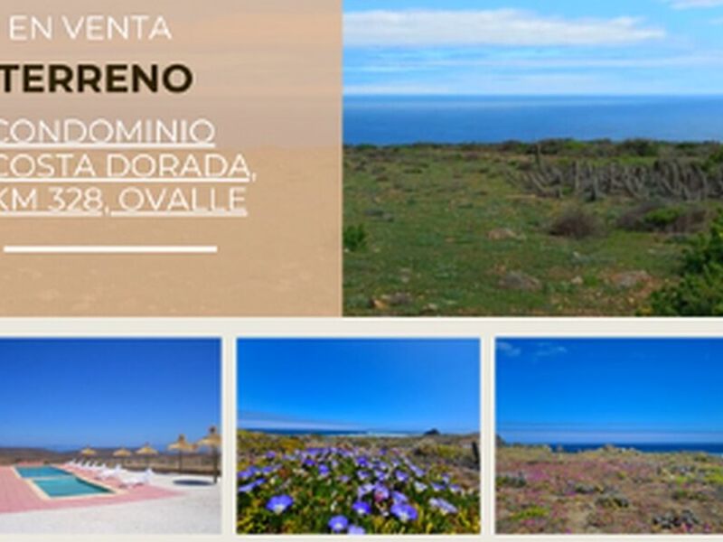 Venta Terreno Chile