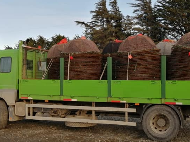 TRANSPORTE CARGA CHILE