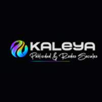 Kaleya Agencia de Publicidad