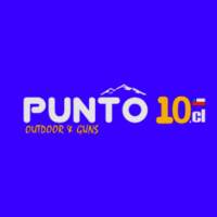 PUNTO 10