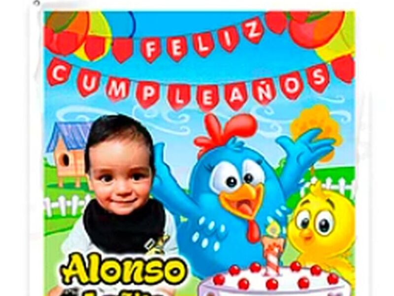 Pendón PVC Cumpleaños Chile