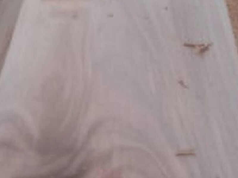  Madera 