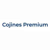 Cojines Premium