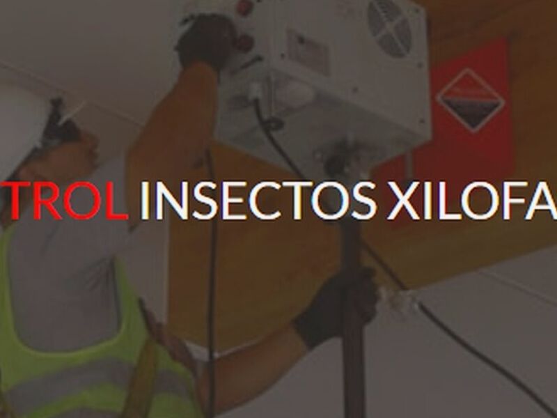 Control Insectos chile