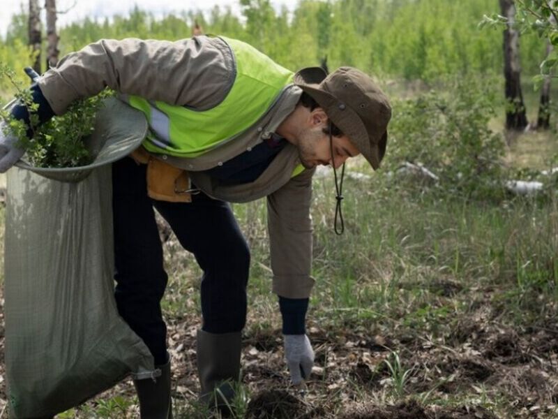 Gestión Residuos Agrícolas Chile
