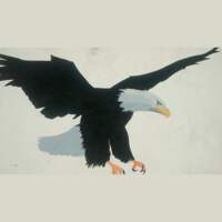 Ferretería el Águila