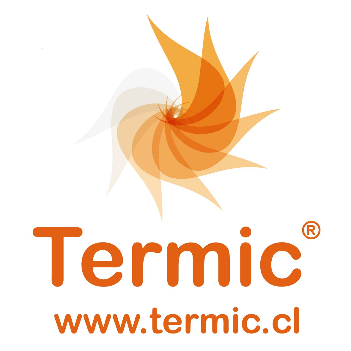 Termic Limitada