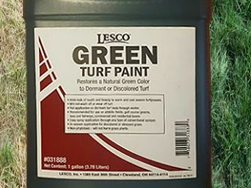 Colorante Verde Divot Chile