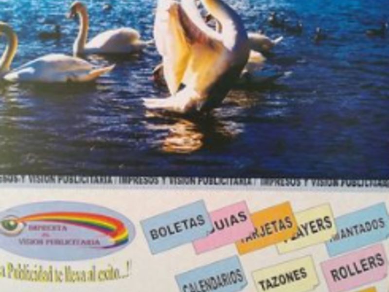 Calendario diseñado Osorno