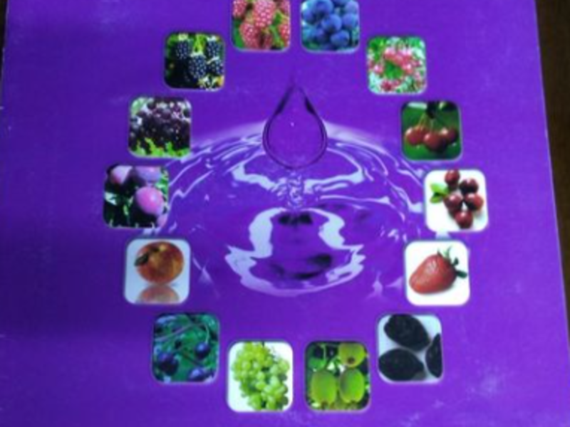 Libro personalizado Osorno