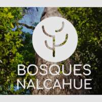 BOSQUE NALCAHUE
