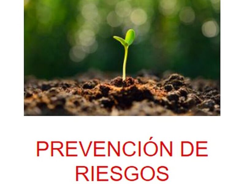 CONSULTORIA PREVENCIÓN RIESGOS CHILE 