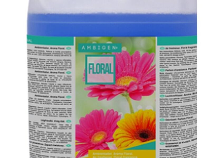 AMBIENTADOR AROMA FLORAL 5 LTS  CHILEE