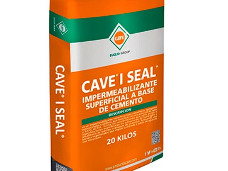 Cave i seal Chile 