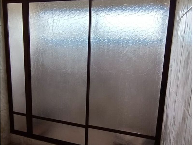 Shower door