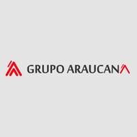 GRUPO ARAUCANA