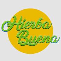 Hierba Buena Plantas