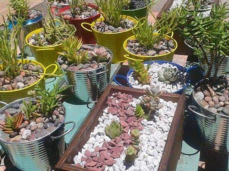 Servicio jardinería Puerto Montt