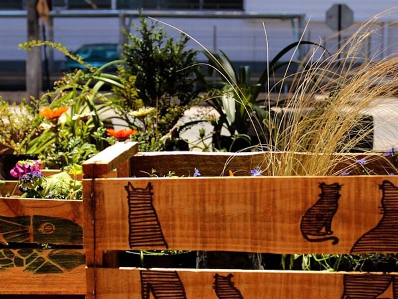 Servicio jardinería Puerto Varas
