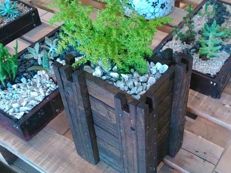 Servicio jardinería Punta Arenas