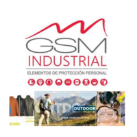 GSM
