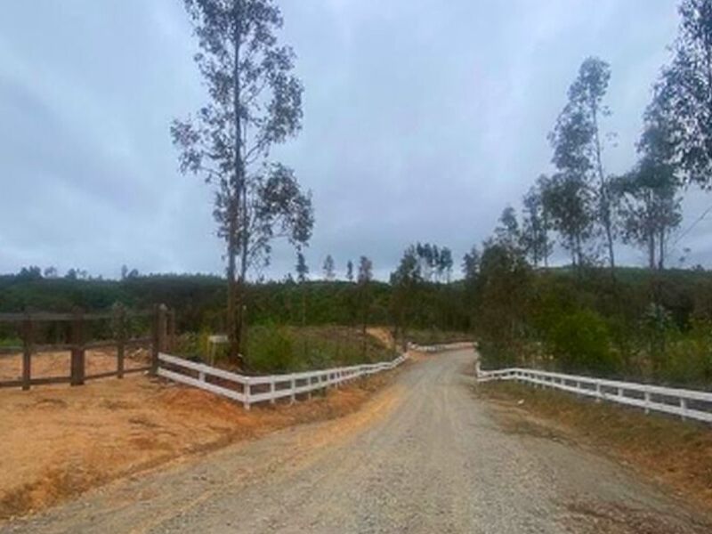 Venta Parcelas Chile