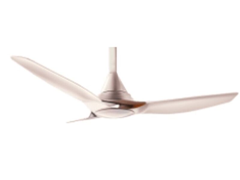 Ventiladores Techo Coronel 