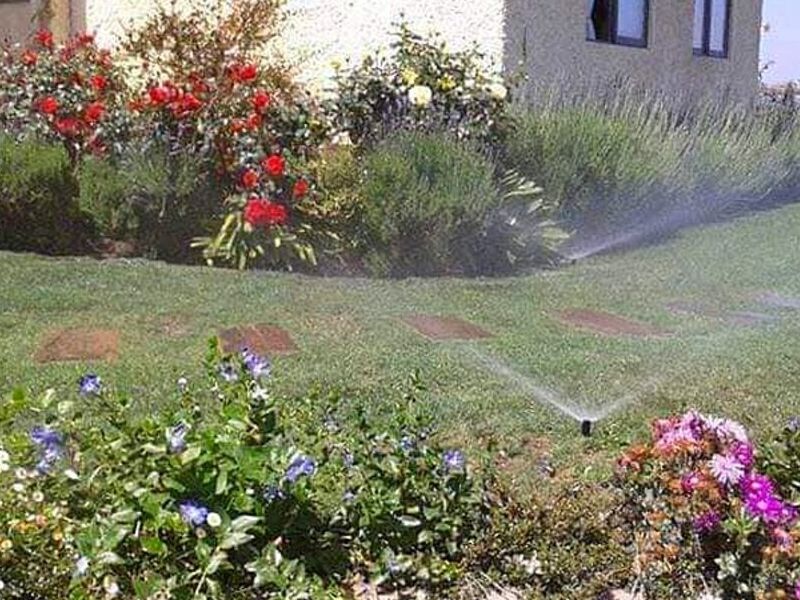Servicio jardinería Puerto Natales