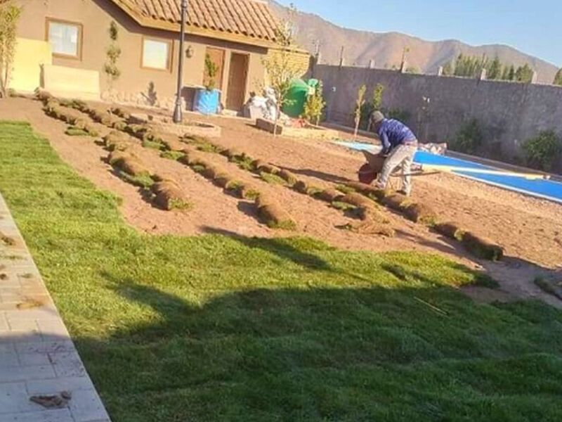 Servicio jardinería Arica