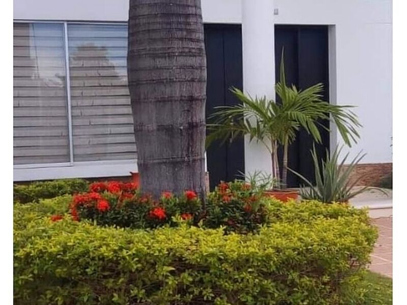 Paisajismo Antogafasta