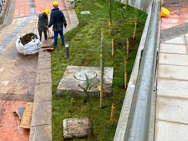 Servicio jardinería Puerto Montt