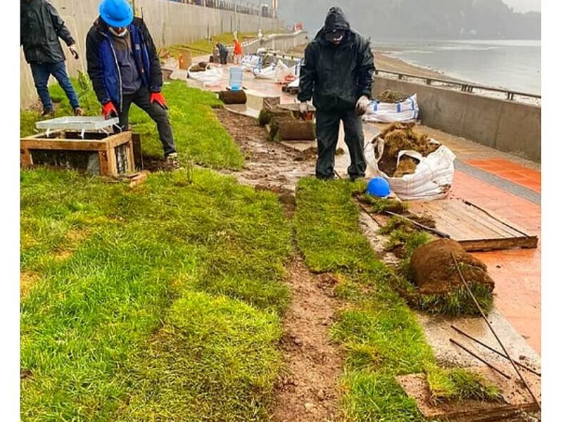 Servicio jardinería Puerto Natales