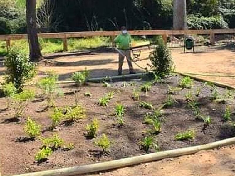 Servicio jardinería Puerto Varas