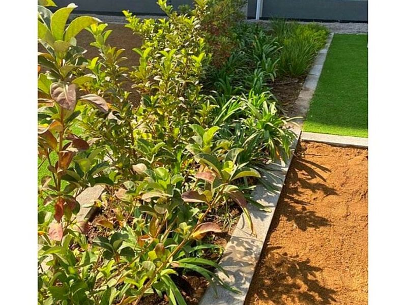 Servicio jardinería Punta Arenas