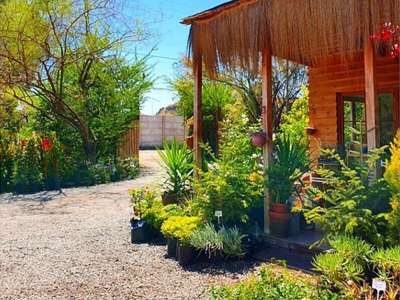 Servicio jardinería Puerto Varas