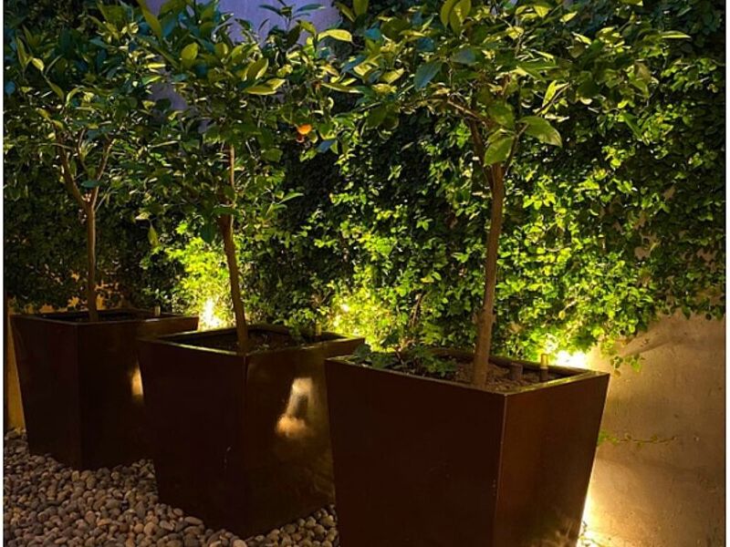 Servicio jardinería Punta Arenas
