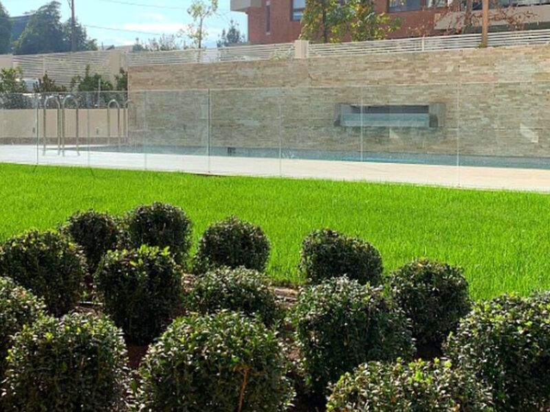 Servicio jardinería Antofagasta