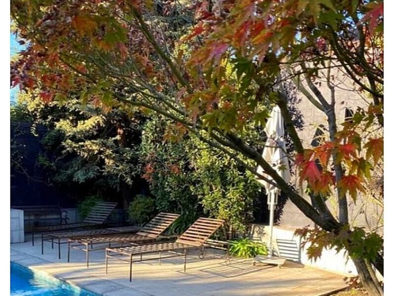 Servicio jardinería Punta Arenas