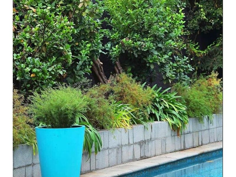 Servicio jardinería Antofagasta