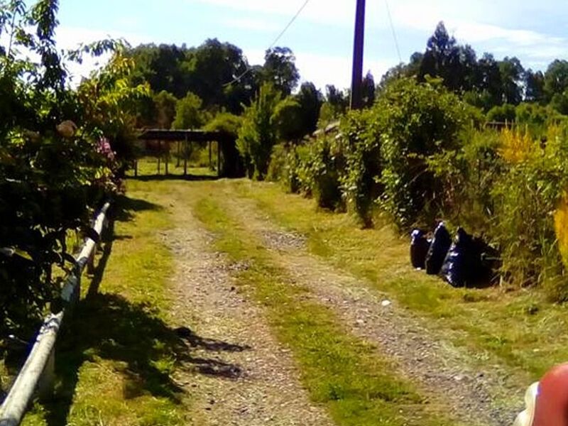 Servicio jardinería Puerto Montt