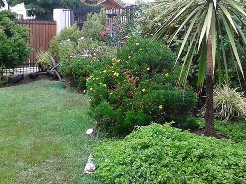 Servicio jardinería Puerto Natales