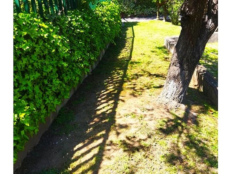 Paisajismo Puerto Montt