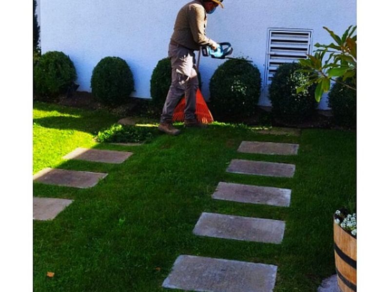 Servicio jardinería Puerto Montt