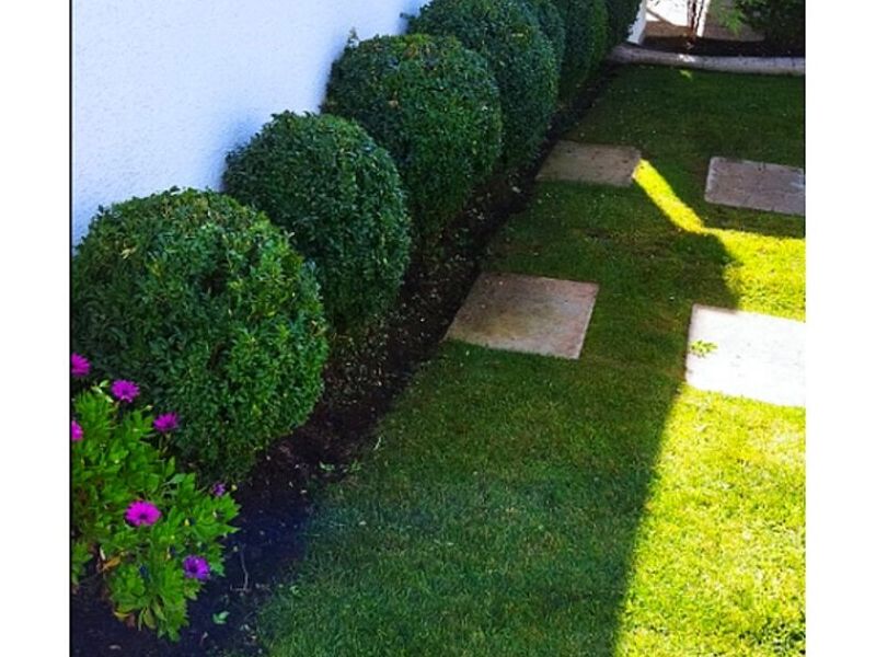 Servicio jardinería Antofagasta
